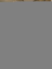 Casa en Alquiler por Temporada - Juquehy - a 100m de la playa, con 4 habitaciones....