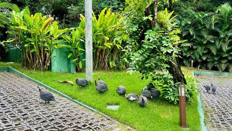 Antube Time Reserve Apartment Praia do Forte