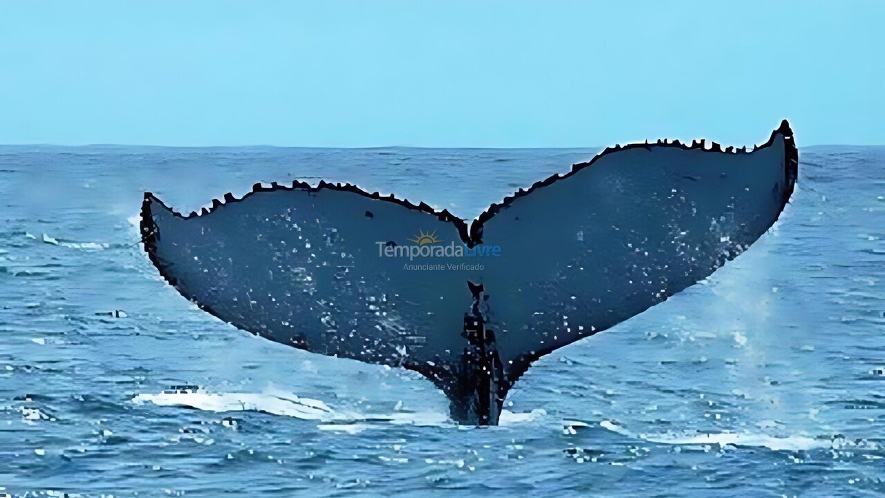 Apartment for vacation rental in Mata de São João (Praia do Forte)