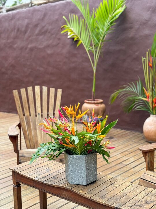 Casa para aluguel de temporada em Trancoso (Trancoso)