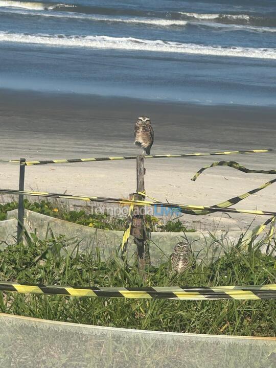 House for vacation rental in Itanhaém (Suarão)