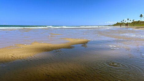 Garden Coupe #315 - Porto de Galinhas de Carpediem