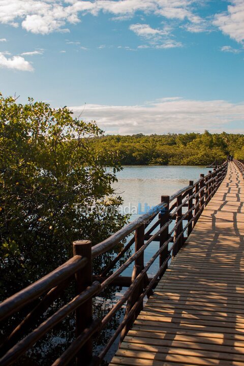 Apartment for vacation rental in Porto de Pedras (Praia Tatuamunha)