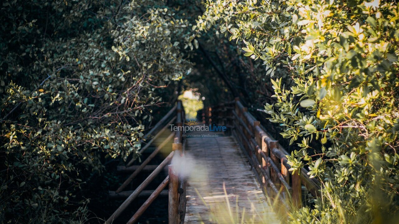 Apartment for vacation rental in Porto de Pedras (Praia Tatuamunha)