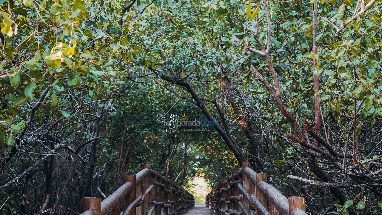 Apartment for vacation rental in Porto de Pedras (Praia Tatuamunha)