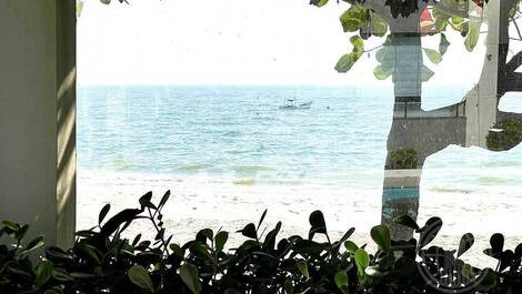 Apartamento de 2 dormitorios. Primera línea de playa. TEMPORADA