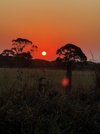 Amazing Place in Porto Feliz