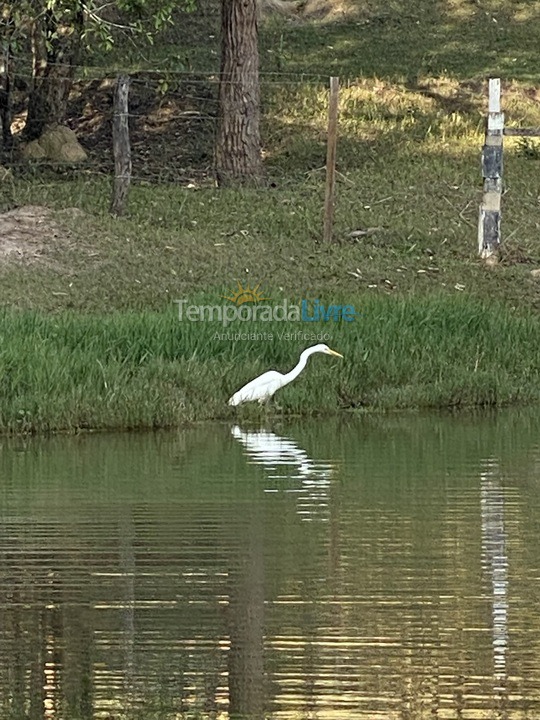 Ranch for vacation rental in Porto Feliz (Avecuia do Alto)