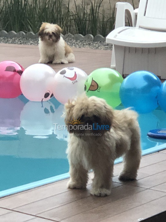 Casa para alquiler de vacaciones em São Francisco do Sul (Vila da Glória)
