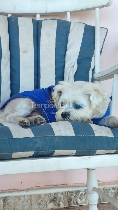 Granja para alquiler de vacaciones em Cotia (Cotia)