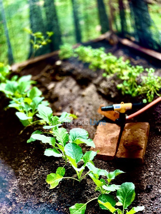Casa para aluguel de temporada em Boituva (Condominio Vitassay)