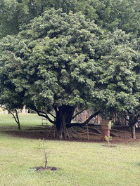 CASA DE CAMPO EM CONDOMÍNIO FECHADO