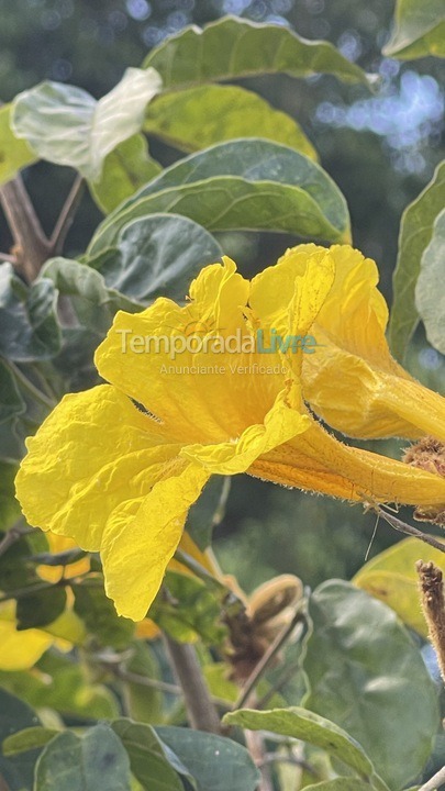 Casa para aluguel de temporada em Boituva (Condominio Vitassay)