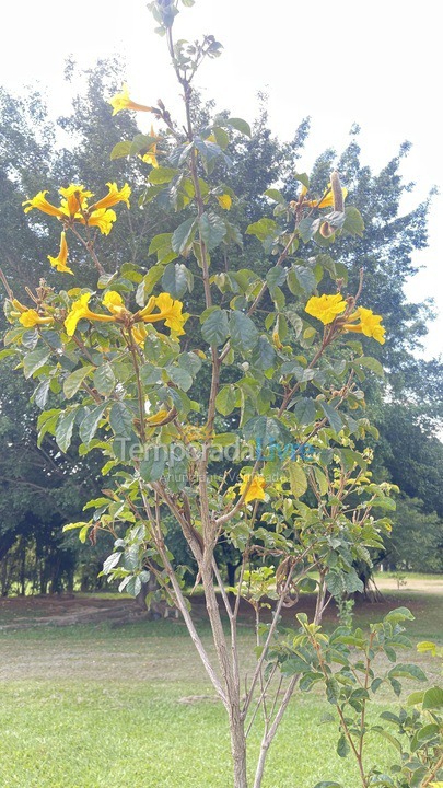 Casa para aluguel de temporada em Boituva (Condominio Vitassay)