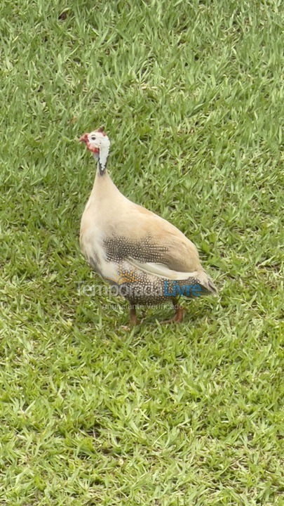 Casa para aluguel de temporada em Boituva (Condominio Vitassay)