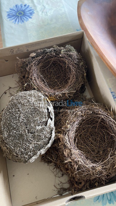 Casa para aluguel de temporada em Boituva (Condominio Vitassay)