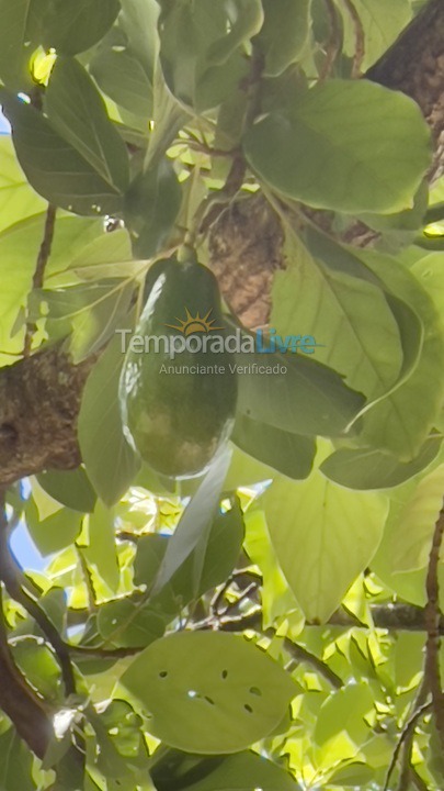 Casa para aluguel de temporada em Boituva (Condominio Vitassay)