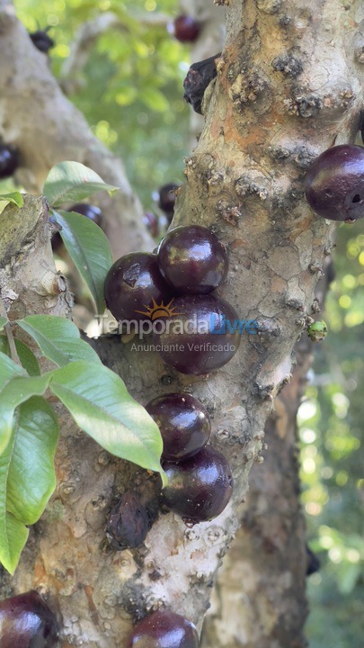 Casa para aluguel de temporada em Boituva (Condominio Vitassay)