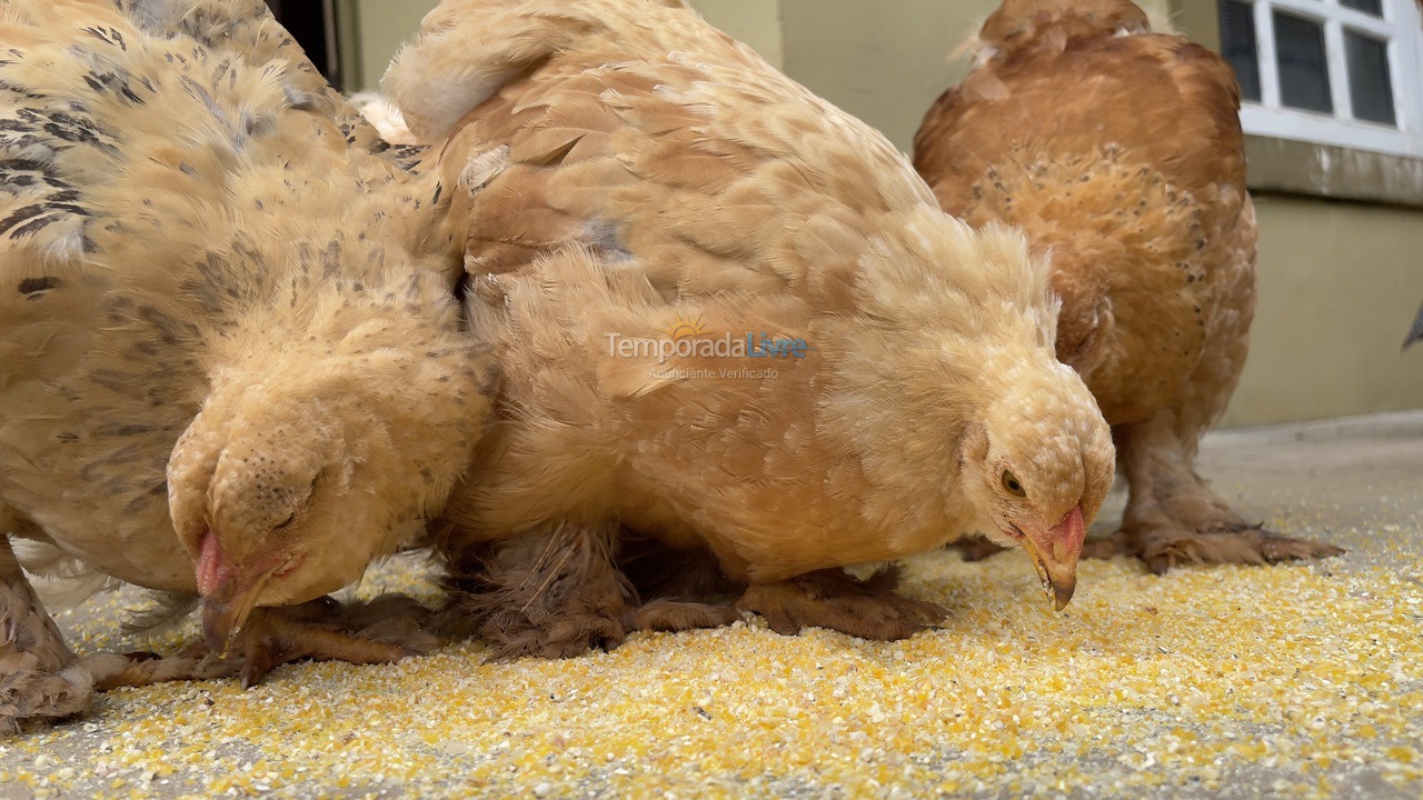 Casa para aluguel de temporada em Boituva (Condominio Vitassay)
