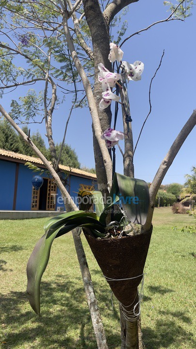 Casa para aluguel de temporada em Boituva (Condominio Vitassay)