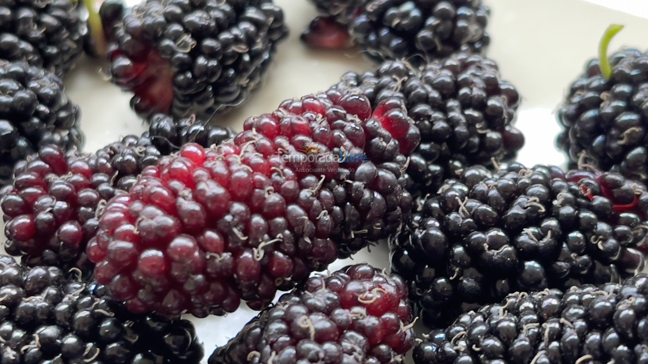 Casa para aluguel de temporada em Boituva (Condominio Vitassay)