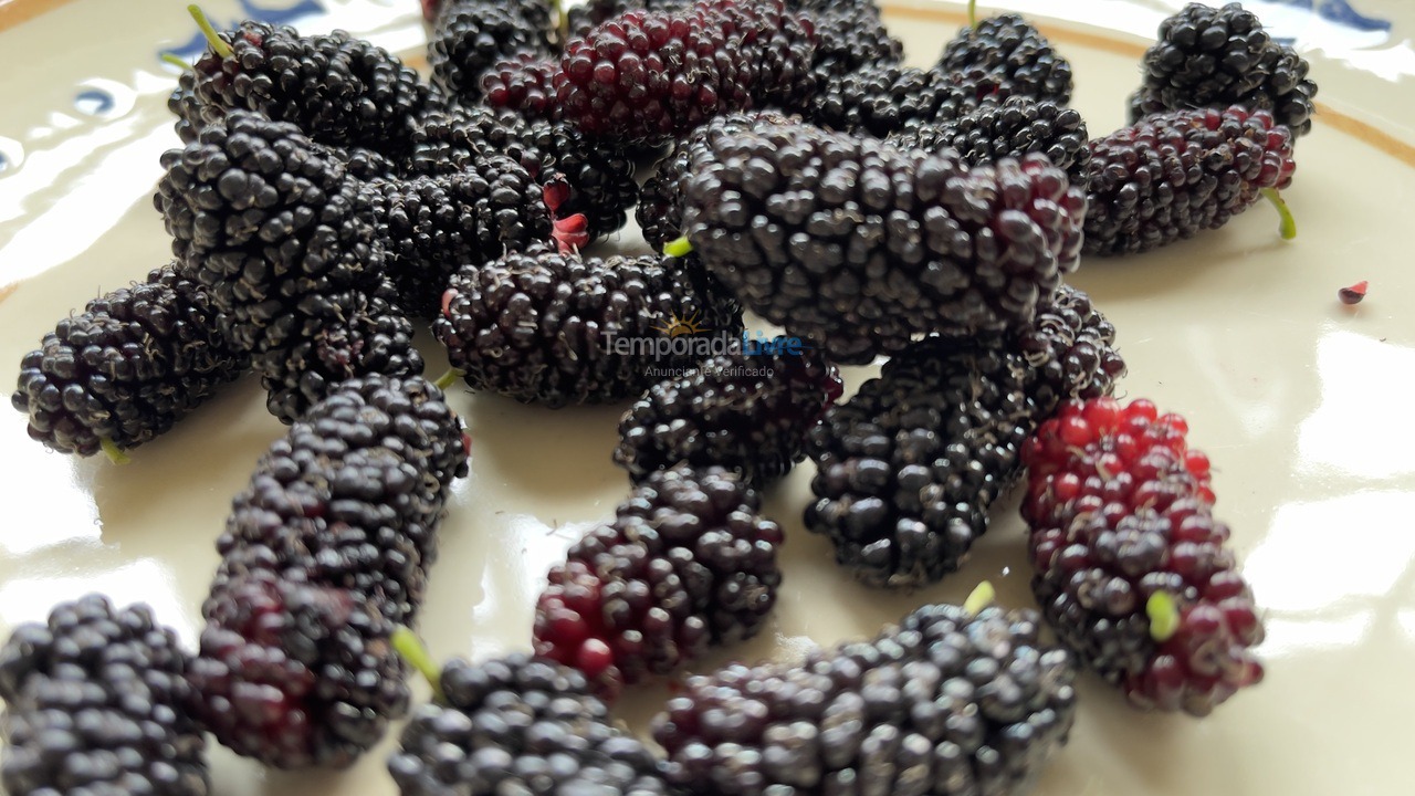Casa para aluguel de temporada em Boituva (Condominio Vitassay)