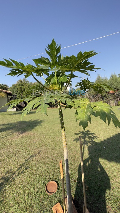 Casa para aluguel de temporada em Boituva (Condominio Vitassay)