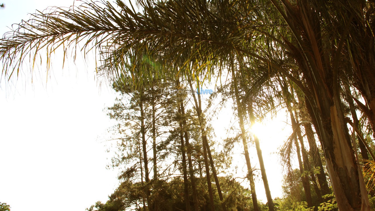 Chácara / sítio para aluguel de temporada em Mairiporã (Mairiporã)