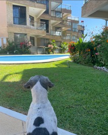 Cobertura em Natal RN