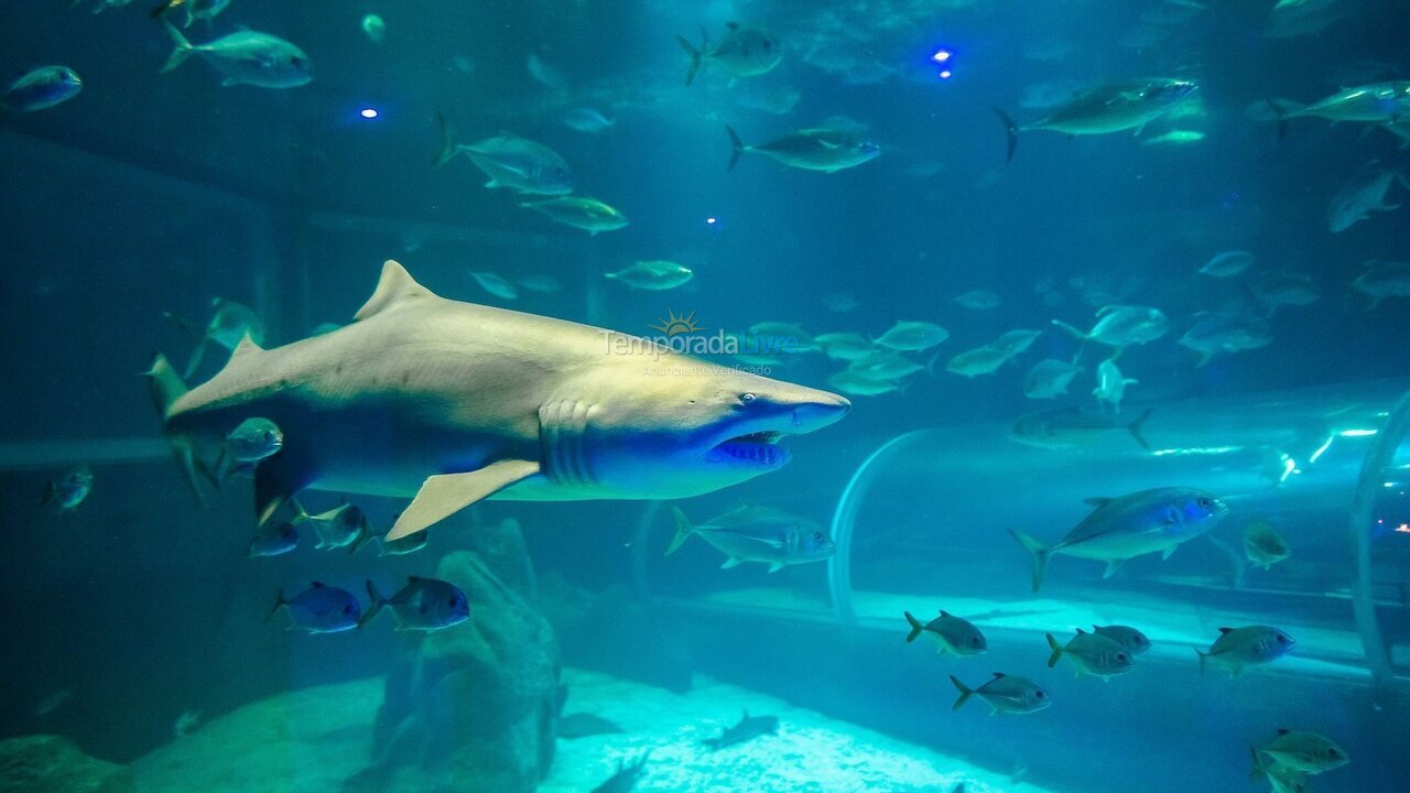 Apartamento para alquiler de vacaciones em Rio de Janeiro (Urca)