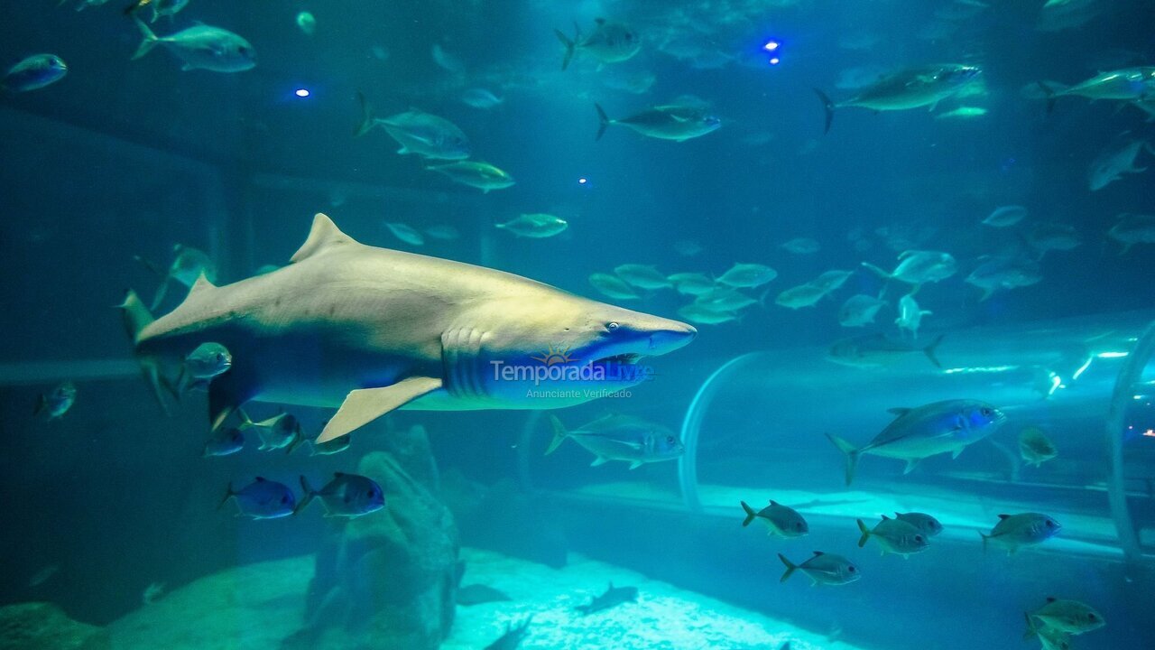 Apartamento para aluguel de temporada em Rio de Janeiro (Copacabana)