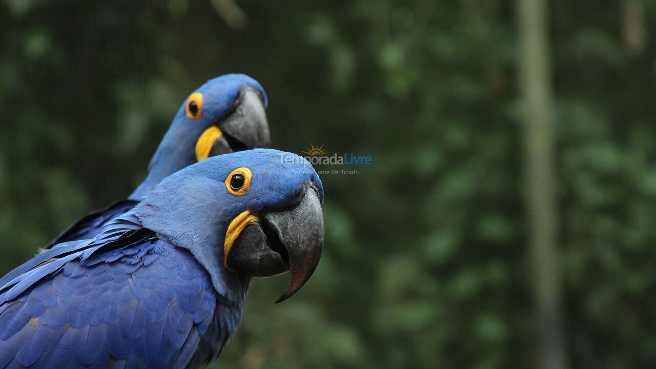 Apartamento para alquiler de vacaciones em Rio de Janeiro (Urca)