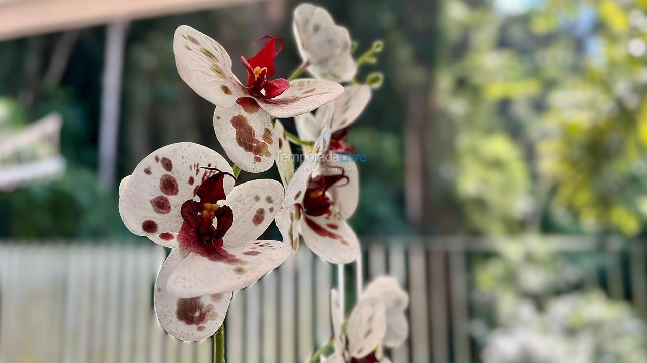 Apartamento para alquiler de vacaciones em Ubatuba (Praia Grande)