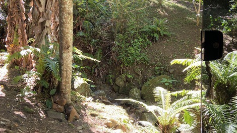 Jardim na frente do apartamento 