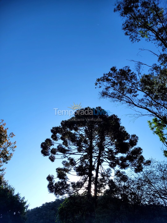 Casa para aluguel de temporada em Itamonte (Morro Grande)