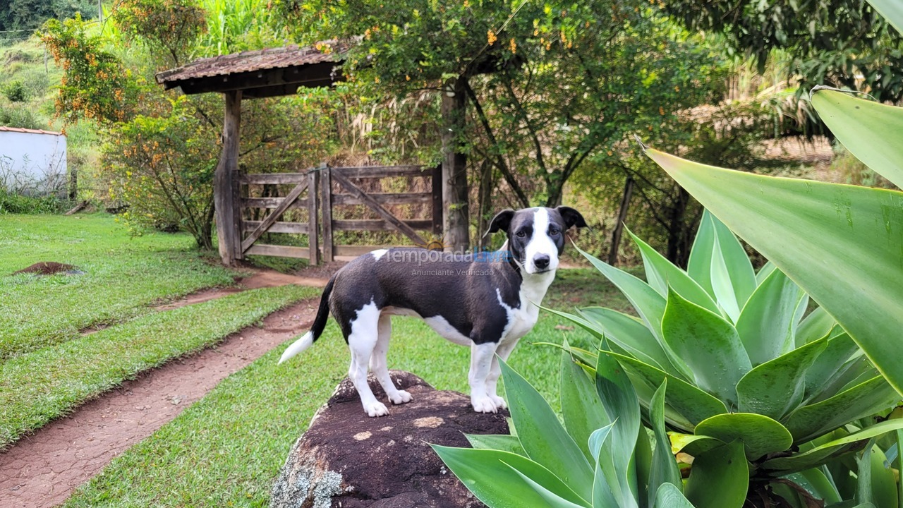 Casa para aluguel de temporada em Itamonte (Morro Grande)