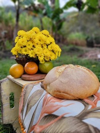 Pão caseiro preparado aqui 