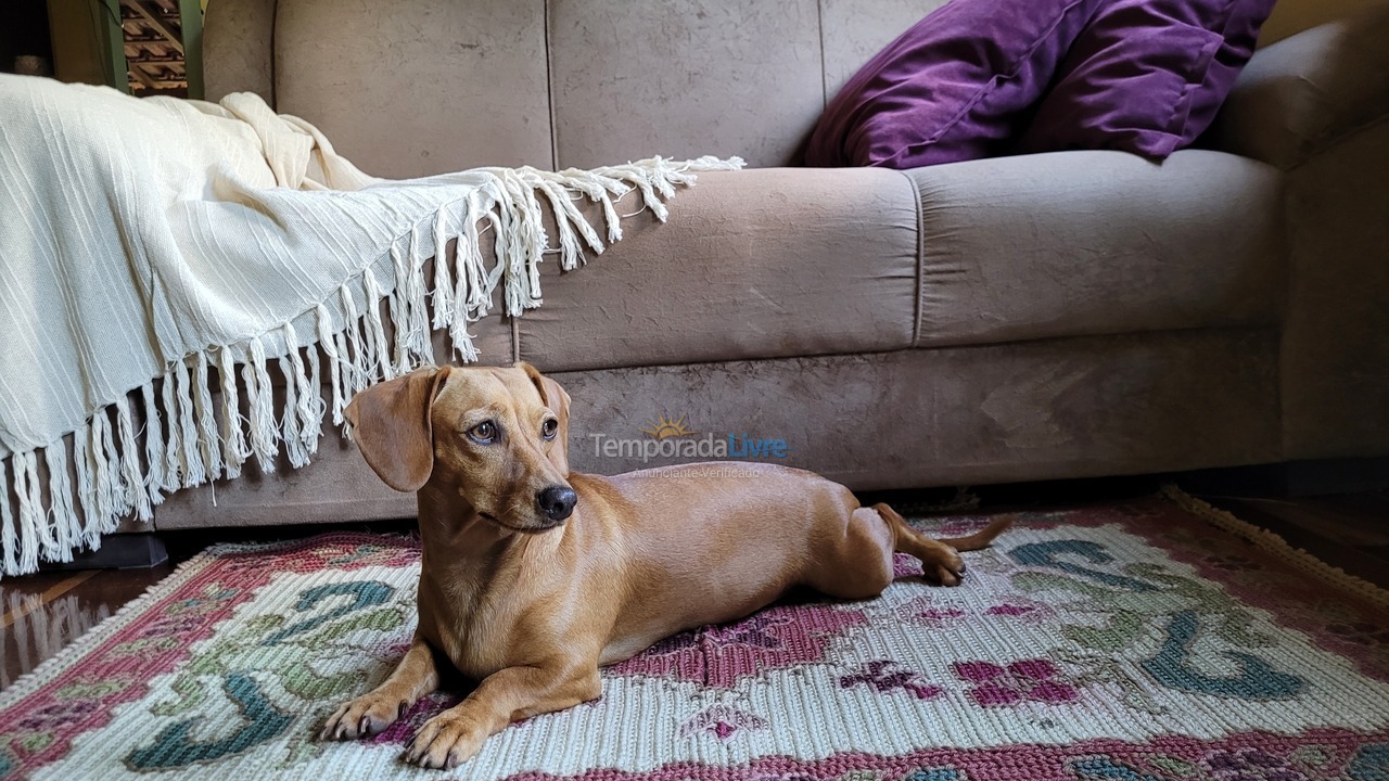 Casa para aluguel de temporada em Itamonte (Morro Grande)