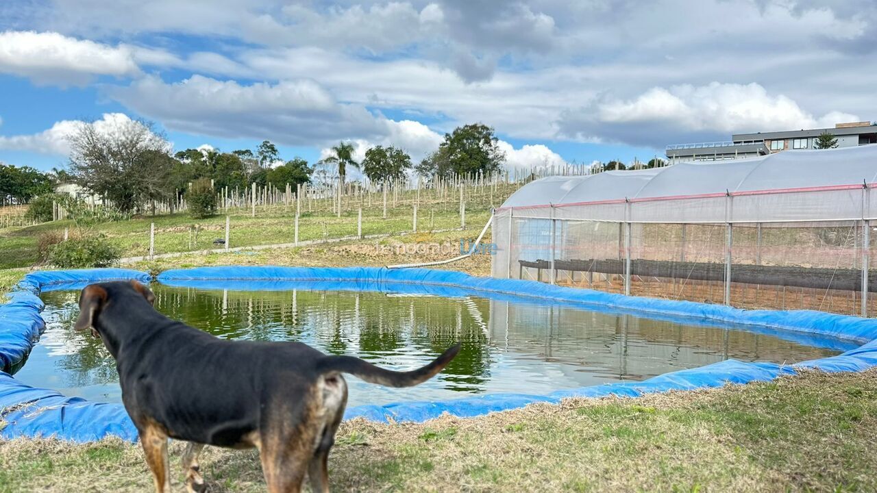 Chácara / sítio para aluguel de temporada em Mandirituba (Chimboveiro)