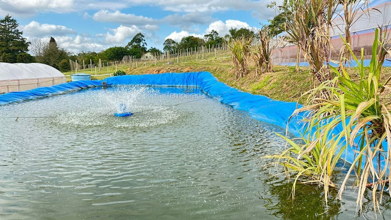 Chácara / sítio para aluguel de temporada em Mandirituba (Chimboveiro)