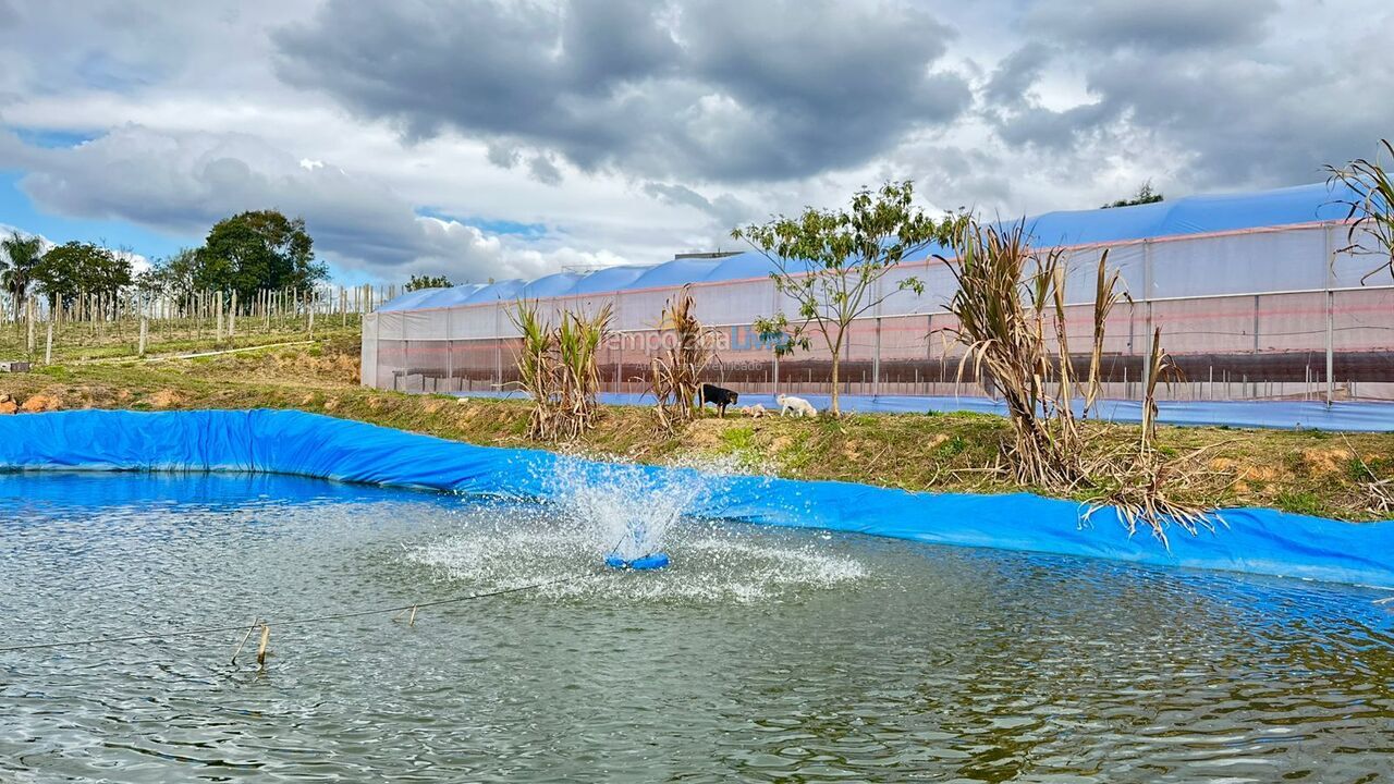 Chácara / sítio para aluguel de temporada em Mandirituba (Chimboveiro)