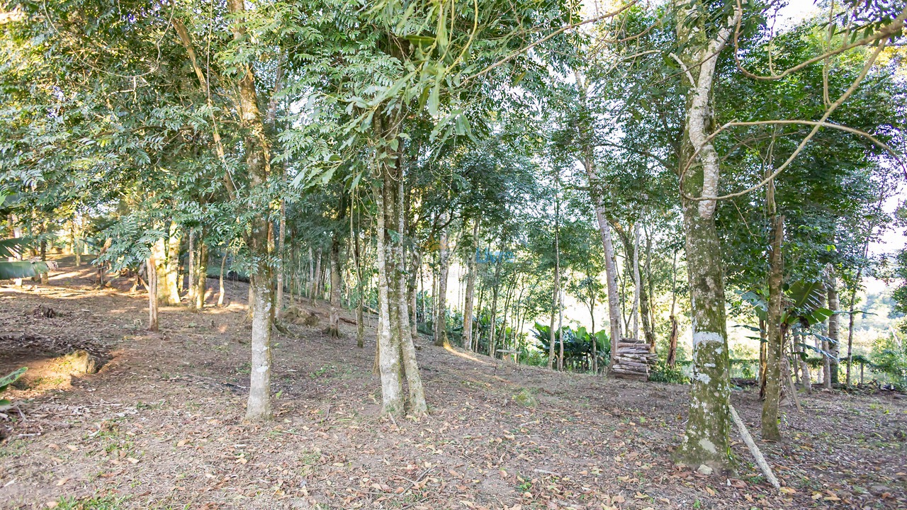 Chácara / sítio para aluguel de temporada em Mandirituba (Chimboveiro)