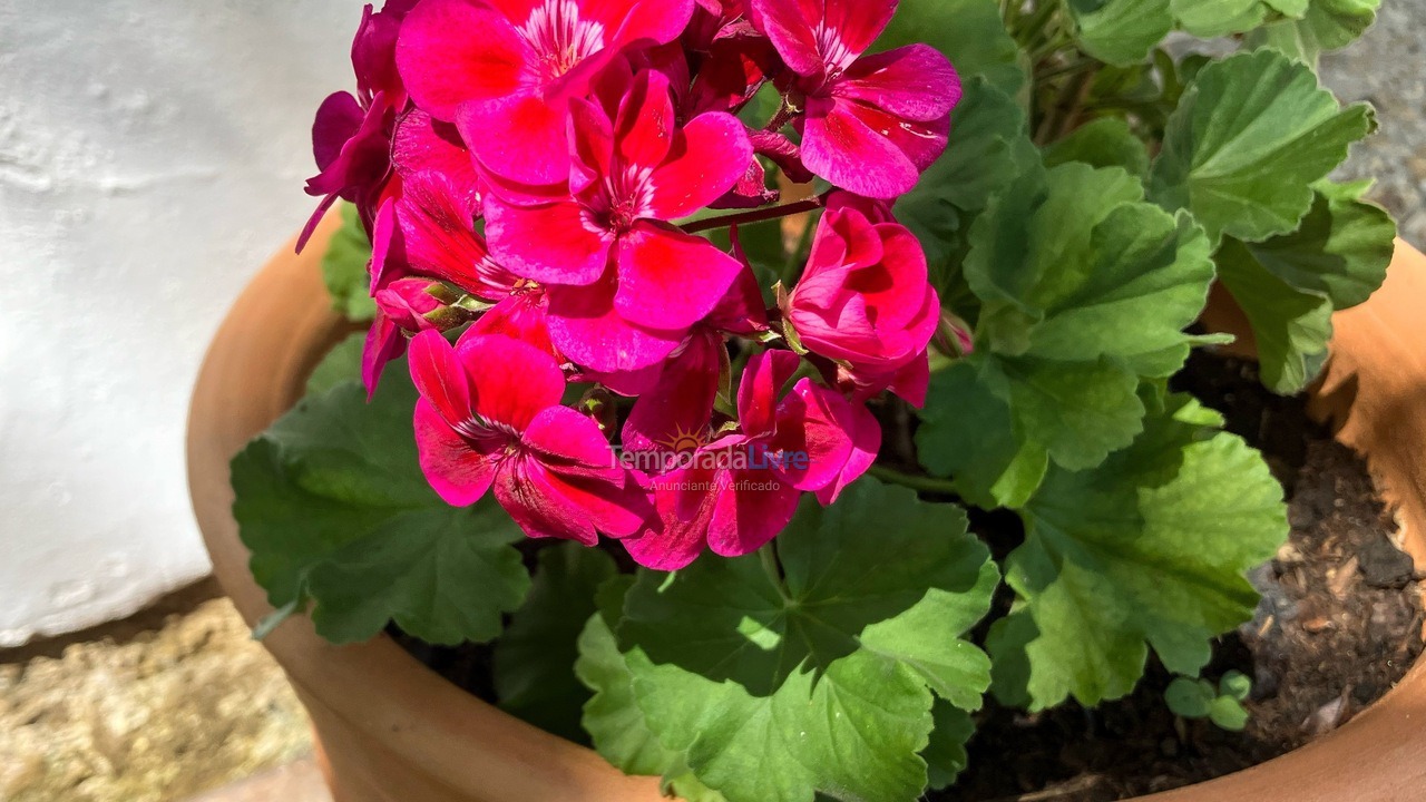 Casa para aluguel de temporada em Palhoça (Guarda do Embaú)