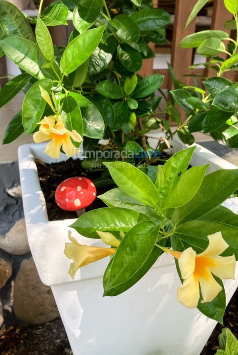 Casa para aluguel de temporada em Palhoça (Guarda do Embaú)