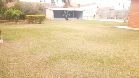 Área verde, vista so