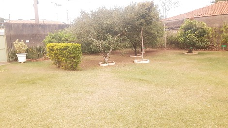 Área verde, vista l