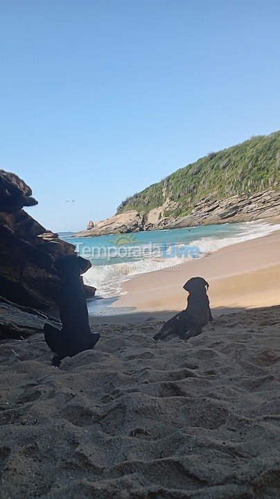 Apartamento para aluguel de temporada em Armação dos Búzios (Praia das Caravelas)