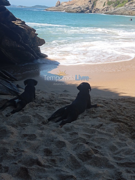 Apartamento para aluguel de temporada em Armação dos Búzios (Praia das Caravelas)