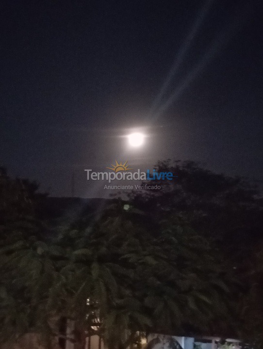 Apartamento para aluguel de temporada em Armação dos Búzios (Praia das Caravelas)