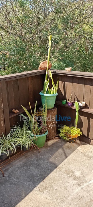 Apartamento para aluguel de temporada em Armação dos Búzios (Praia das Caravelas)